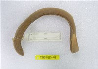 藏品(日本鰻)的圖片